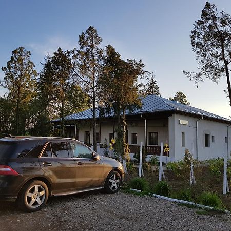 Conacul Balta Alba Balta Albă Exterior foto