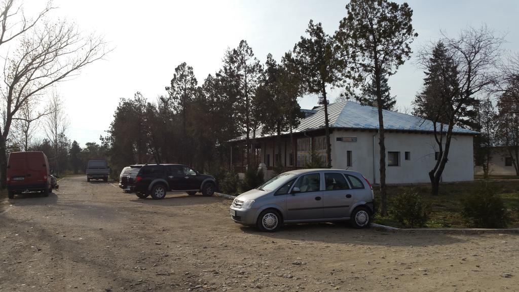 Conacul Balta Alba Balta Albă Exterior foto