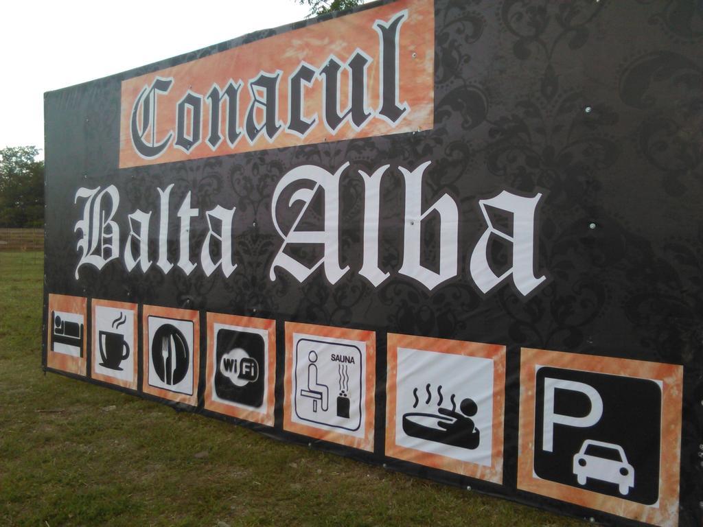 Conacul Balta Alba Balta Albă Exterior foto