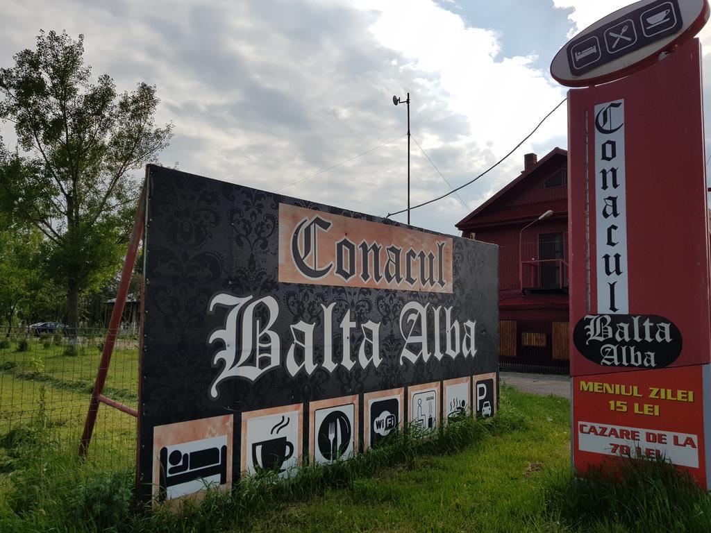 Conacul Balta Alba Balta Albă Exterior foto